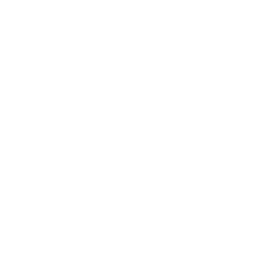 Loon Technologies logo