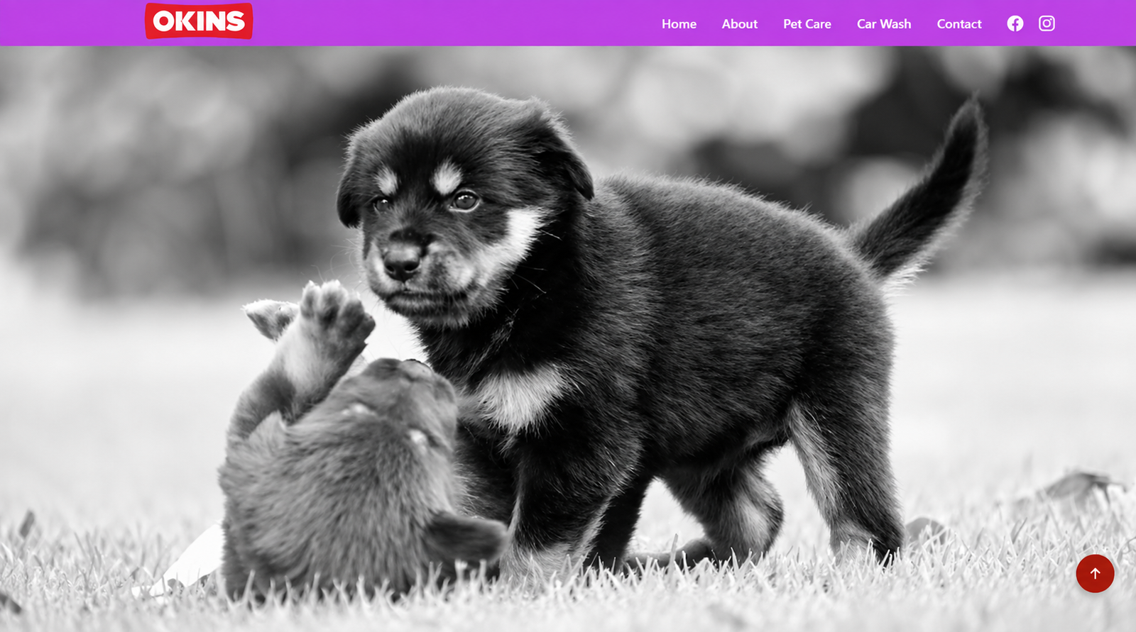 OKINS Lab website